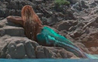 Rogue's pose Blank Meme Template