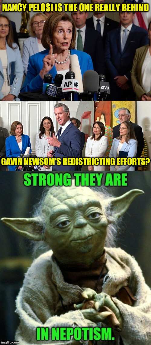 Now Why Wouldn't You Think | NANCY PELOSI IS THE ONE REALLY BEHIND; GAVIN NEWSOM'S REDISTRICTING EFFORTS? | image tagged in memes,politics,nancy pelosi,gavin,changes,redistricting | made w/ Imgflip meme maker