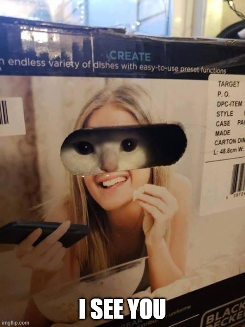 I See You | I SEE YOU | image tagged in cats | made w/ Imgflip meme maker