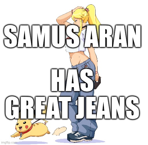 Samus Aran has great jeans | SAMUS ARAN; HAS GREAT JEANS | image tagged in metroid,memes,based | made w/ Imgflip meme maker