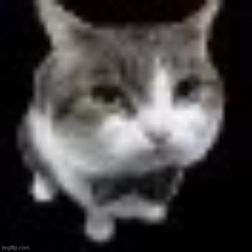 how did "negro" become a racial slur? its literally just a color. | image tagged in le wawa cat,yap sesh | made w/ Imgflip meme maker