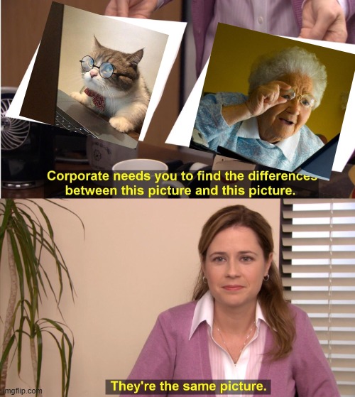 Cat v Grandma | image tagged in memes,they're the same picture | made w/ Imgflip meme maker