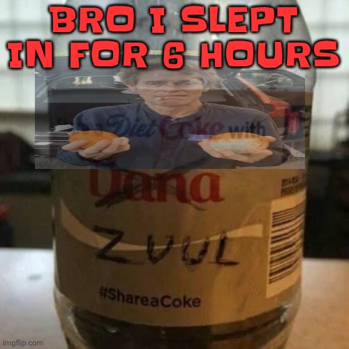 there is no diet, only zero | BRO I SLEPT IN FOR 6 HOURS | image tagged in there is no diet only zero | made w/ Imgflip meme maker