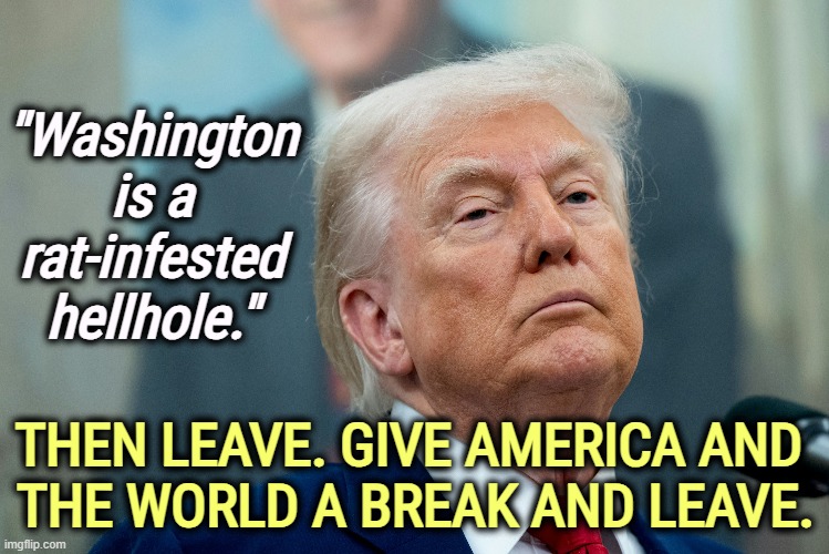 You're embarrassing yourself, old man, in front of everybody. | "Washington is a rat-infested hellhole."; THEN LEAVE. GIVE AMERICA AND 
THE WORLD A BREAK AND LEAVE. | image tagged in trump,racist,washington dc,national guard,ice,police | made w/ Imgflip meme maker