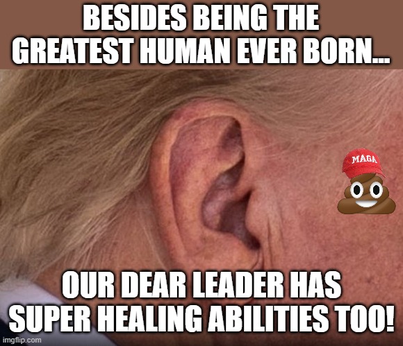 Orange wolverine | BESIDES BEING THE GREATEST HUMAN EVER BORN... OUR DEAR LEADER HAS SUPER HEALING ABILITIES TOO! | image tagged in trump,maga,conservatives,never trump,donald trump,trump supporter | made w/ Imgflip meme maker