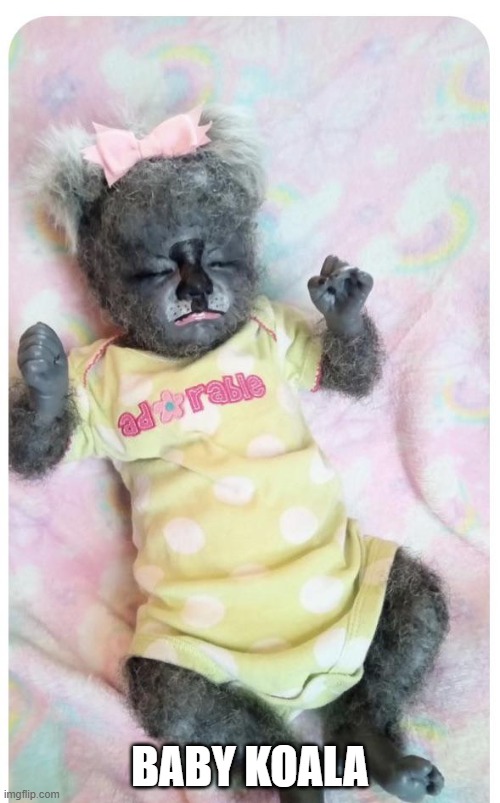 Baby Koala | BABY KOALA | image tagged in cursed image | made w/ Imgflip meme maker
