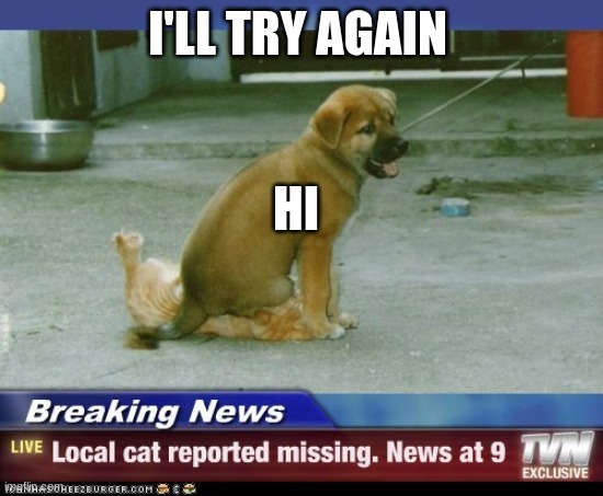 missing cat | I'LL TRY AGAIN; HI | image tagged in missing cat | made w/ Imgflip meme maker