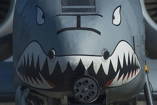 Happy Brrrrth-day Blank Meme Template