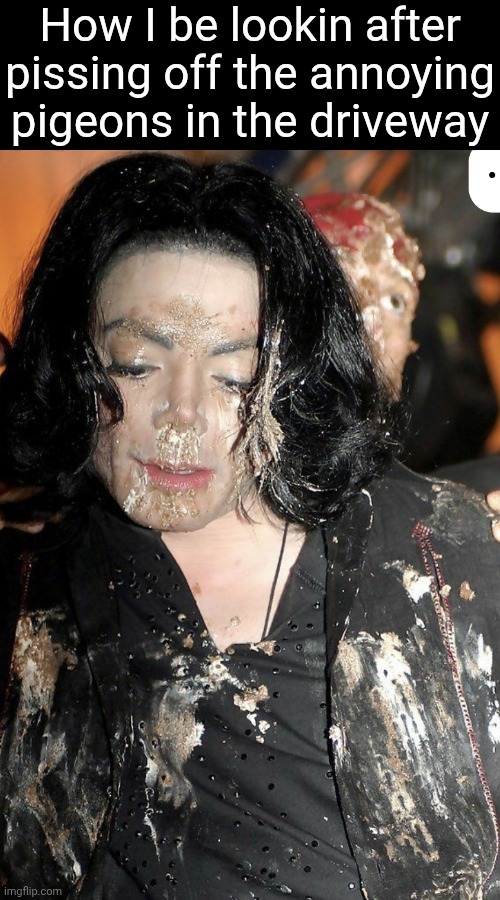 How I be lookin after pissing off the annoying pigeons in the driveway | image tagged in memes,funny,michael jackson,bird poop,just for the record that's cake | made w/ Imgflip meme maker
