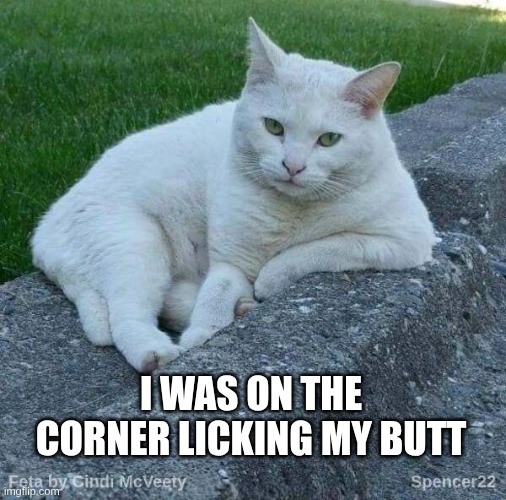 Feta | I WAS ON THE CORNER LICKING MY BUTT | image tagged in feta | made w/ Imgflip meme maker