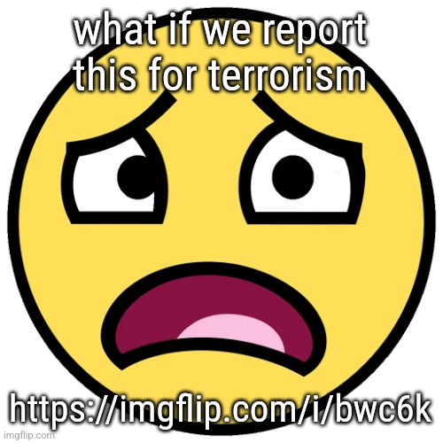 what the fuck (slightly improved | what if we report this for terrorism; https://imgflip.com/i/bwc6k | image tagged in what the fuck slightly improved | made w/ Imgflip meme maker