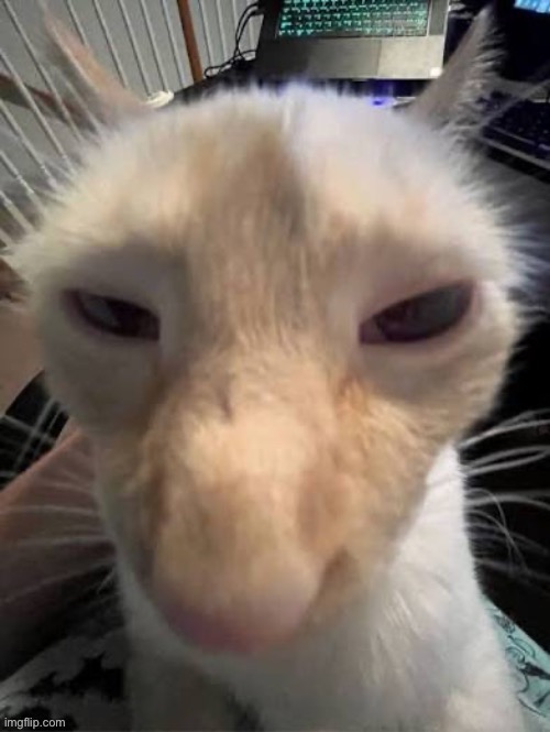 crack | image tagged in he full of rage | made w/ Imgflip meme maker