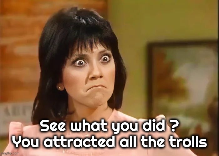 See what you did ? You attracted all the trolls | made w/ Imgflip meme maker