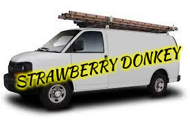chevy work van | STRAWBERRY DONKEY | image tagged in chevy work van | made w/ Imgflip meme maker