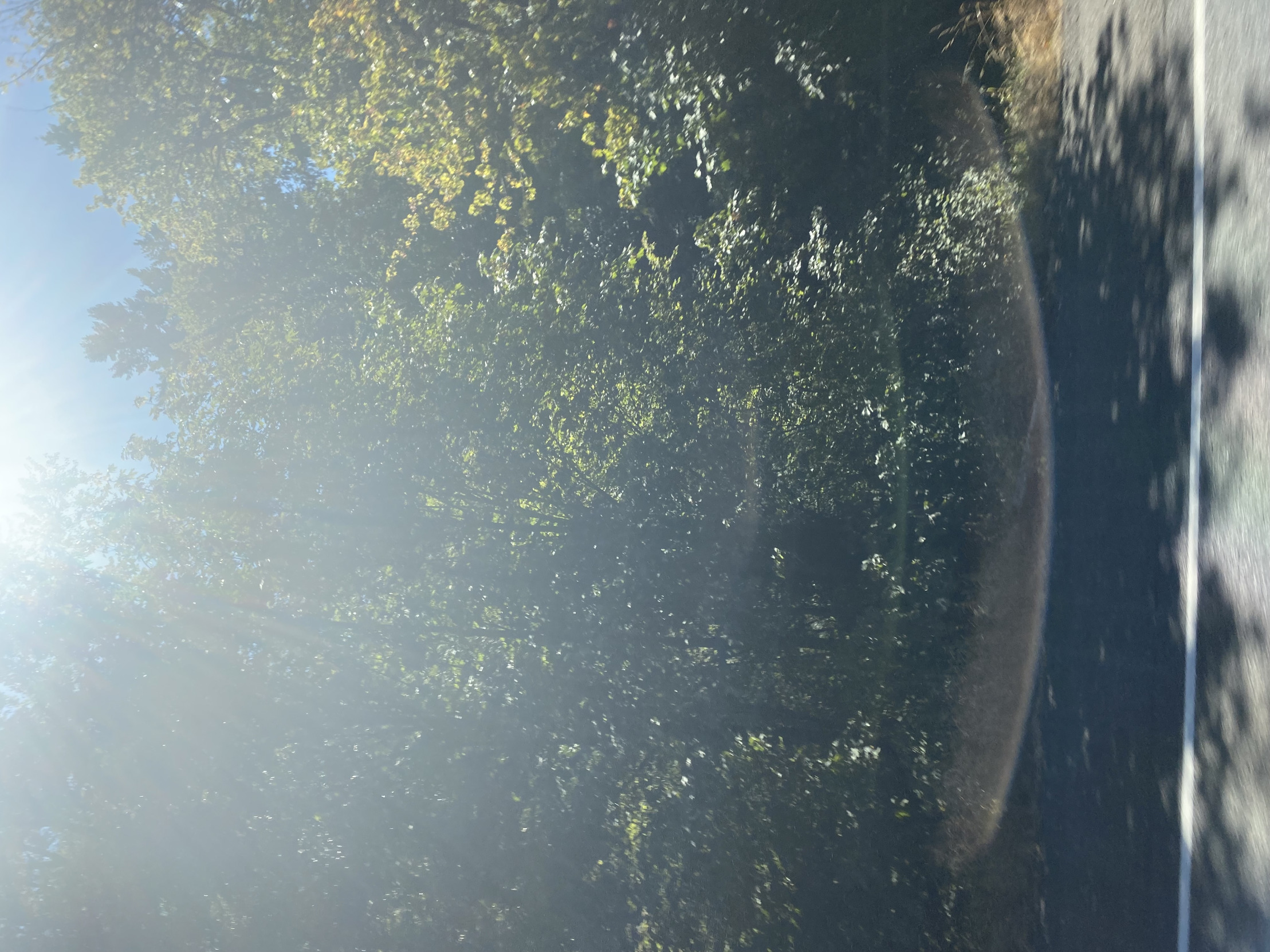 Nature Blank Meme Template