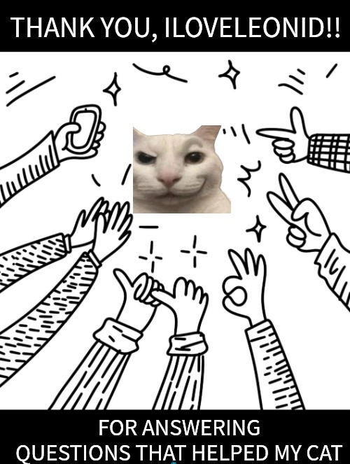Thanks to an imgflip friend! | THANK YOU, ILOVELEONID!! FOR ANSWERING QUESTIONS THAT HELPED MY CAT | image tagged in applause,thank you,you are my hero,meow | made w/ Imgflip meme maker