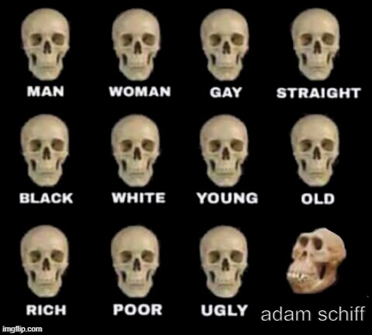 An actual moron. | adam schiff | image tagged in idiot skull,memes,funny,politics | made w/ Imgflip meme maker
