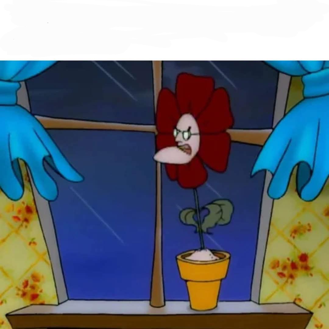 You're gonna flower and bloom Blank Meme Template