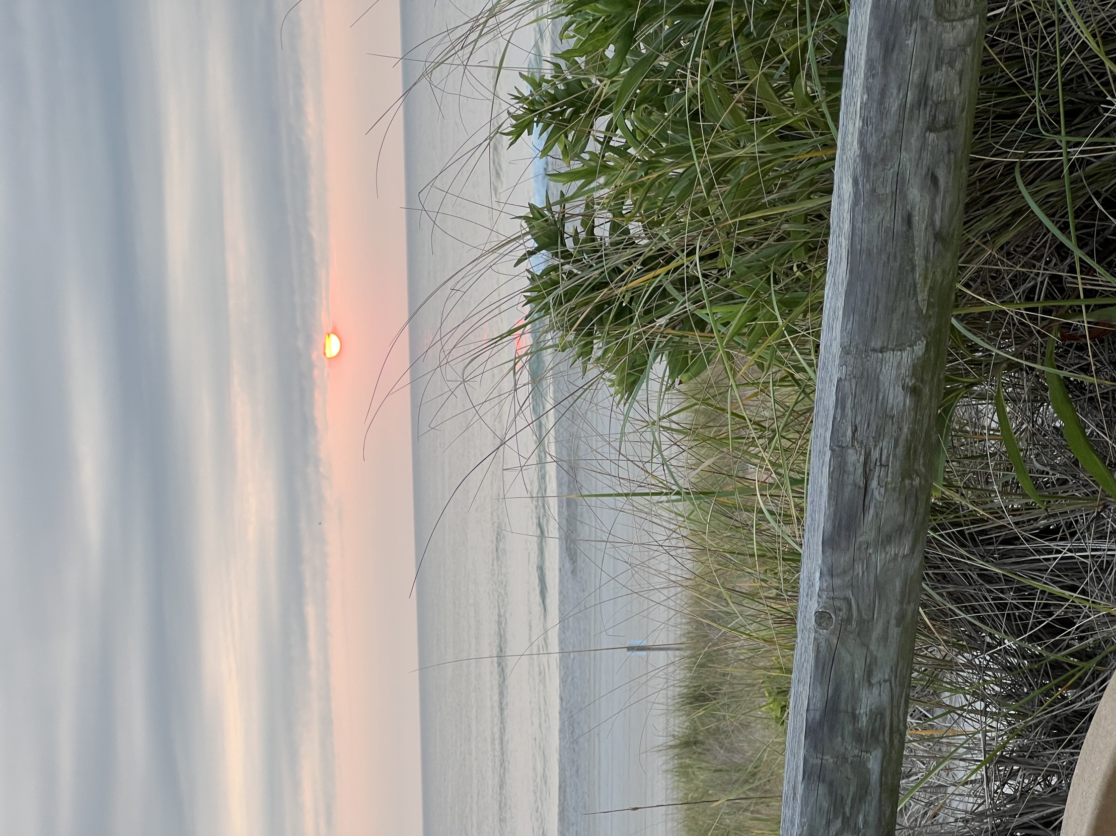 Sunrise Blank Meme Template