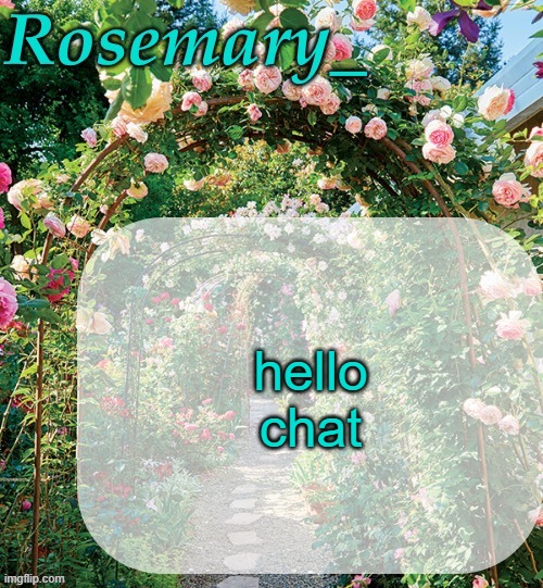 who decided to make it like 50 degrees inside this building, i'm freezing. i shouldn't be allowed to be cold during the summer | hello chat | image tagged in rosemary_ template | made w/ Imgflip meme maker