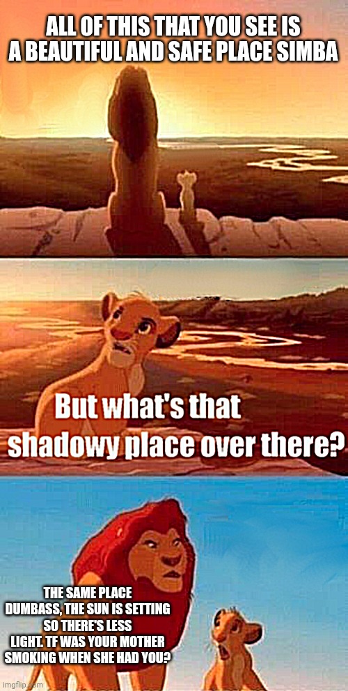 Simba Shadowy Place Meme | ALL OF THIS THAT YOU SEE IS A BEAUTIFUL AND SAFE PLACE SIMBA; THE SAME PLACE DUMBASS, THE SUN IS SETTING SO THERE'S LESS LIGHT. TF WAS YOUR MOTHER SMOKING WHEN SHE HAD YOU? | image tagged in memes,simba shadowy place,dumb | made w/ Imgflip meme maker