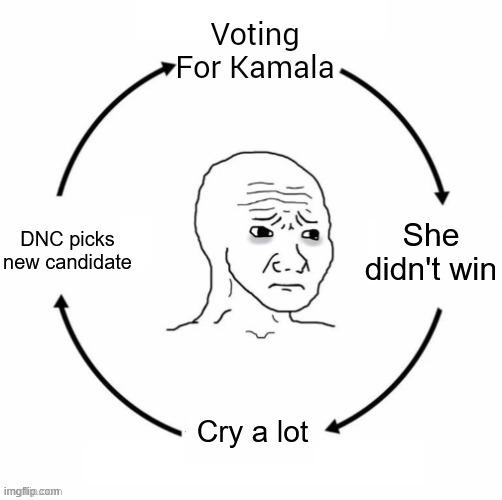 She didn't win Cry a lot DNC picks new candidate | made w/ Imgflip meme maker