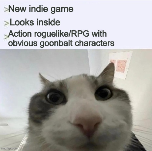 Cat looks inside | New indie game; Looks inside; Action roguelike/RPG with obvious goonbait characters | image tagged in cat looks inside | made w/ Imgflip meme maker