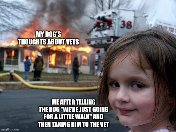 Disaster Girl Meme | MY DOG'S THOUGHTS ABOUT VETS; ME AFTER TELLING THE DOG "WE'RE JUST GOING FOR A LITTLE WALK" AND THEN TAKING HIM TO THE VET | image tagged in memes,disaster girl,dogs,vets,funny memes,meme | made w/ Imgflip meme maker
