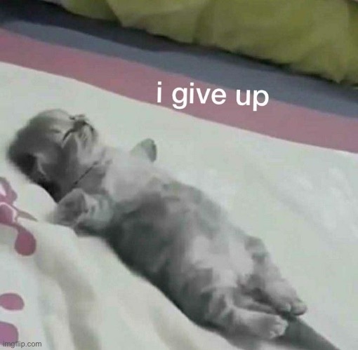 made w/ Imgflip meme maker