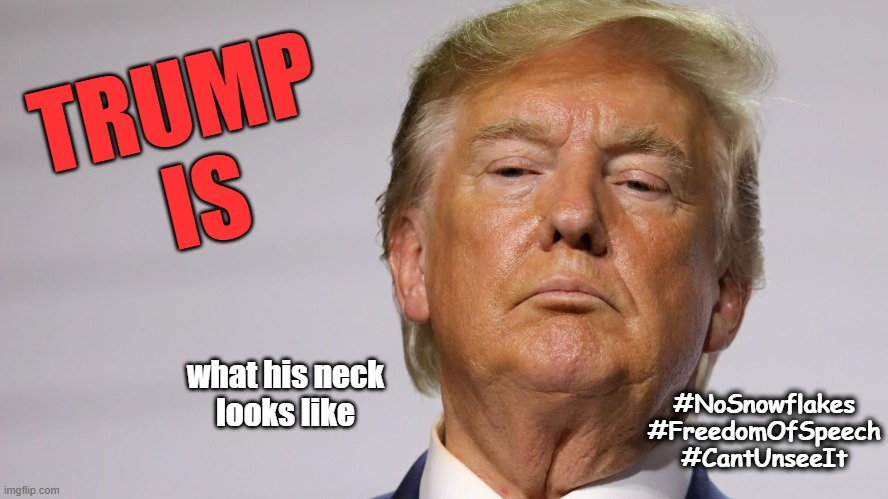 MAGA - You can't unsee this.  DON'T LOOK! | TRUMP 
IS; what his neck
looks like; #NoSnowflakes
#FreedomOfSpeech
#CantUnseeIt | image tagged in maga,trump supporters,fuck donald trump,grab them by the pussy,triggered | made w/ Imgflip meme maker