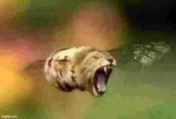 lion bee | image tagged in lion bee | made w/ Imgflip meme maker