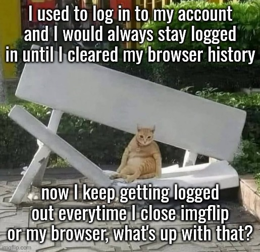 cat on broken bench | I used to log in to my account and I would always stay logged in until I cleared my browser history; now I keep getting logged out everytime I close imgflip or my browser, what's up with that? | image tagged in cat on broken bench | made w/ Imgflip meme maker