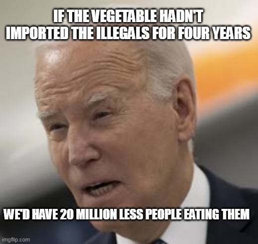 WE'D HAVE 20 MILLION LESS PEOPLE EATING THEM IF THE VEGETABLE HADN'T IMPORTED THE ILLEGALS FOR FOUR YEARS | made w/ Imgflip meme maker
