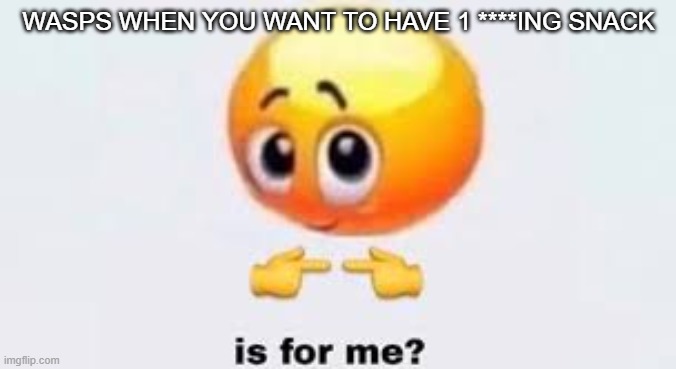 theyre like spoiled toddlers with guns | WASPS WHEN YOU WANT TO HAVE 1 ****ING SNACK | image tagged in is for me | made w/ Imgflip meme maker