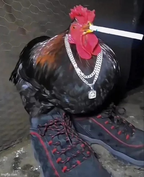 Dripping cock | image tagged in dripping cock | made w/ Imgflip meme maker
