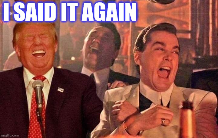 I SAID IT AGAIN | image tagged in trump good fellas laughing | made w/ Imgflip meme maker