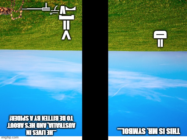 Australia | ︻Vデ╤━╾; >=[; =D; ...HE LIVES IN AUSTRALIA, AND HE'S ABOUT TO BE BITTEN BY A SPIDER! THIS IS MR. SYMBOL... | image tagged in australia | made w/ Imgflip meme maker
