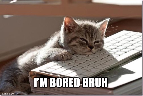 And also tired | I’M BORED BRUH | image tagged in bored keyboard cat,cat,lol | made w/ Imgflip meme maker