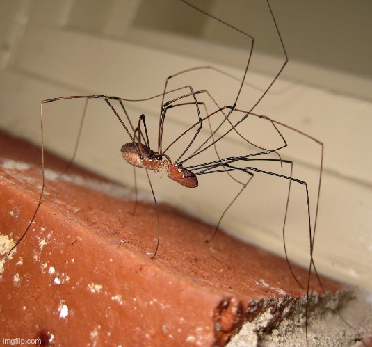 How romantic | made w/ Imgflip meme maker