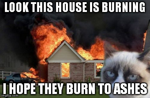 Burn Kitty Meme | LOOK THIS HOUSE IS BURNING I HOPE THEY BURN TO ASHES | image tagged in memes,burn kitty | made w/ Imgflip meme maker