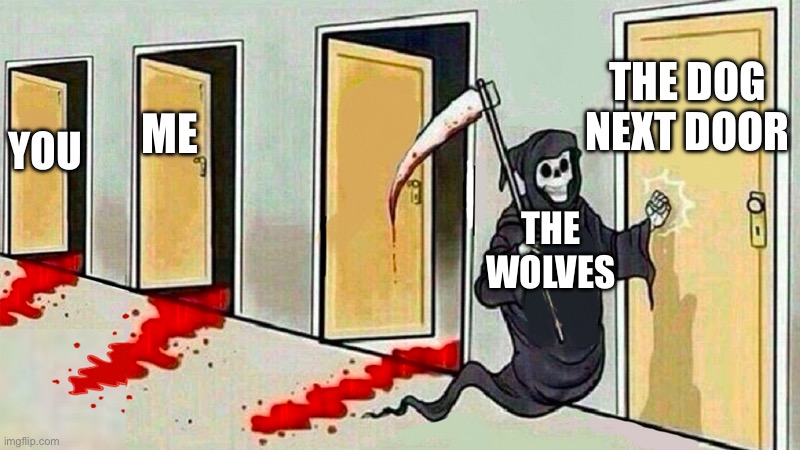 death knocking at the door | YOU ME THE WOLVES THE DOG NEXT DOOR | image tagged in death knocking at the door | made w/ Imgflip meme maker