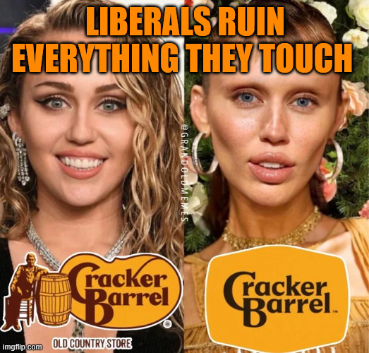 LIBERALS RUIN EVERYTHING THEY TOUCH | made w/ Imgflip meme maker