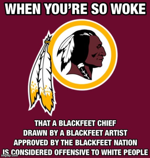 Woke is a sickness | image tagged in woke,ruins everything it touches,political,reposts | made w/ Imgflip meme maker