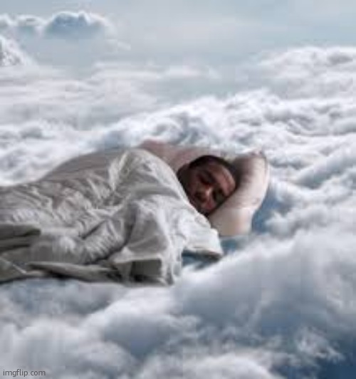 guy sleeping | image tagged in guy sleeping | made w/ Imgflip meme maker