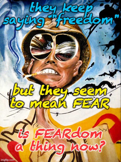 Fear & Loathing Bat Country | they keep saying "freedom" is FEARdom a thing now? but they seem to mean FEAR | image tagged in fear loathing bat country | made w/ Imgflip meme maker