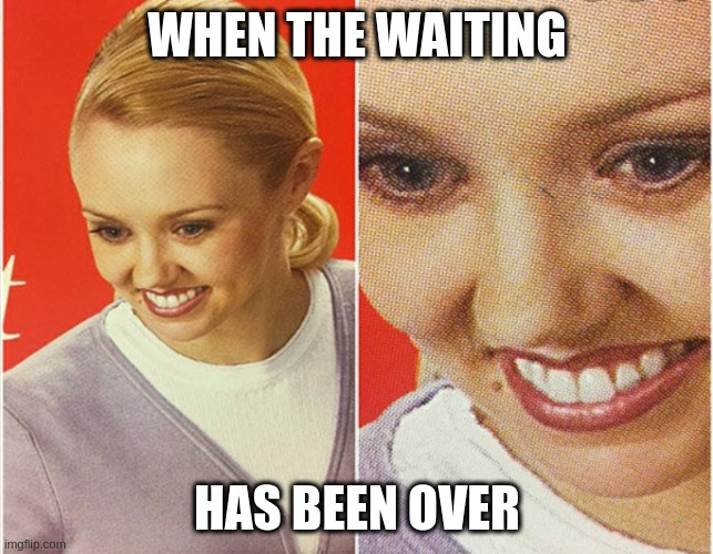 WAIT WHAT? | WHEN THE WAITING; HAS BEEN OVER | image tagged in wait what | made w/ Imgflip meme maker