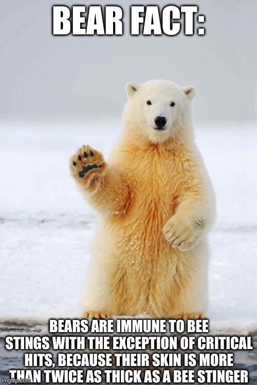 Bear Fact #1 | BEAR FACT:; BEARS ARE IMMUNE TO BEE STINGS WITH THE EXCEPTION OF CRITICAL HITS, BECAUSE THEIR SKIN IS MORE THAN TWICE AS THICK AS A BEE STINGER | image tagged in hello polar bear,bear,animal fact,bear fact,meme,polar bear | made w/ Imgflip meme maker