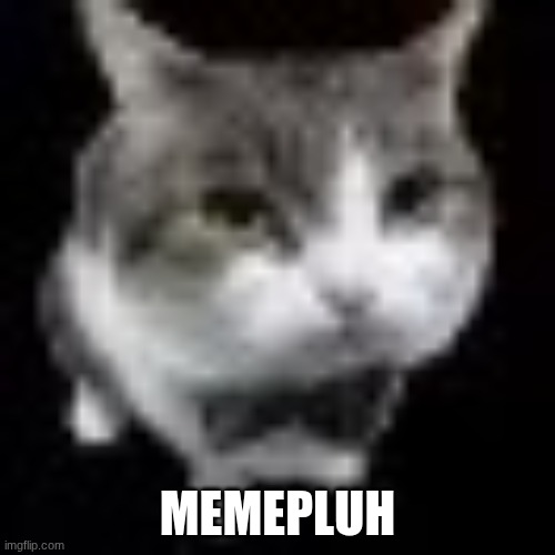 Le wawa cat | MEMEPLUH | image tagged in le wawa cat | made w/ Imgflip meme maker