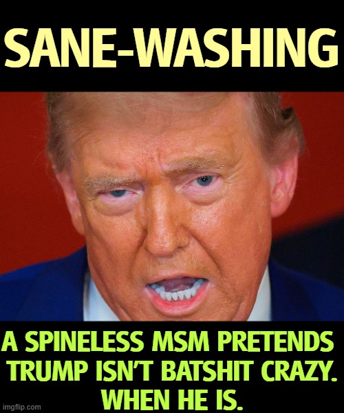 Trump, frontotemporal dementia, crazy as a bedbug | SANE-WASHING; A SPINELESS MSM PRETENDS 
TRUMP ISN'T BATSHIT CRAZY.
WHEN HE IS. | image tagged in trump frontotemporal dementia crazy as a bedbug,trump,convicted felon,dementia,crazy,msm | made w/ Imgflip meme maker