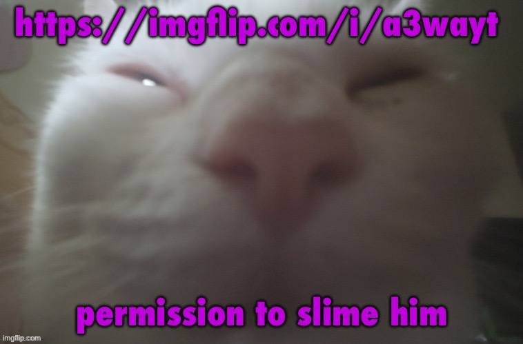 whuh??? | https://imgflip.com/i/a3wayt; permission to slime him | image tagged in whuh | made w/ Imgflip meme maker